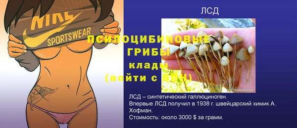 спайс Краснослободск