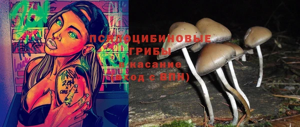 эйфоретик Куйбышев