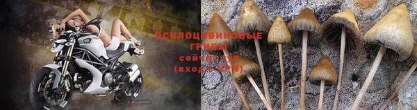 спайс Краснослободск