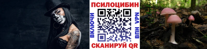 Псилоцибиновые грибы MAGIC MUSHROOMS наркота Рассказово