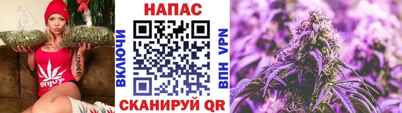 Канабис гибрид  продажа наркотиков  Рассказово 